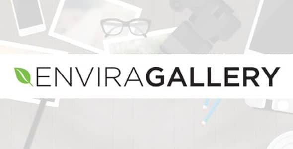 Envira Gallery - Google Photos Addon