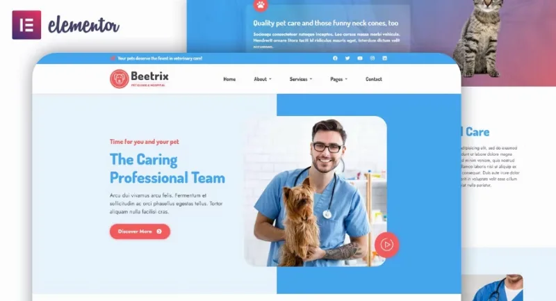 Beetrix – Pet Clinic & Hospital Elementor Template