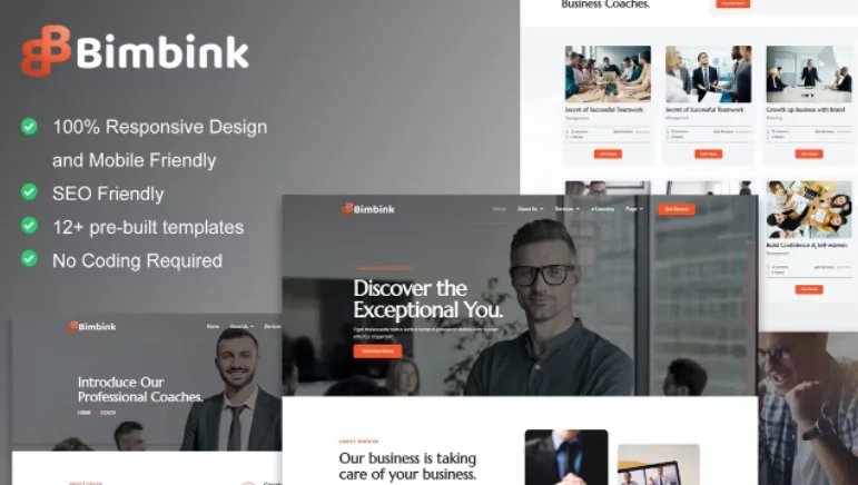 Bimbink – Business Coach & Consulting Elementor Template