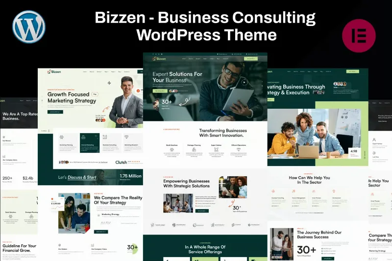 Business Consulting WordPress Theme – Bizzen