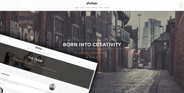 Calliope – Portfolio & Agency WordPress Theme 1.0.8 Go to 1.0.8 Go to download