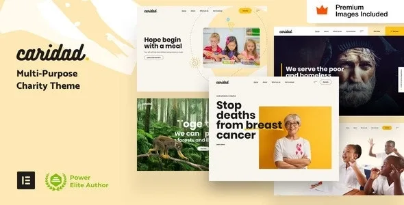 Caridad - Charity Hub WordPress