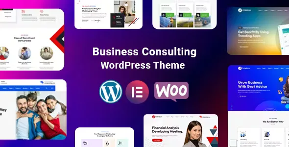 Consua Business Consulting Theme