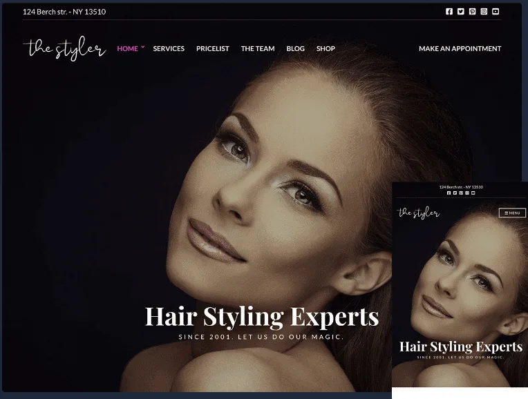 CSS Igniter The Styler WordPress Theme
