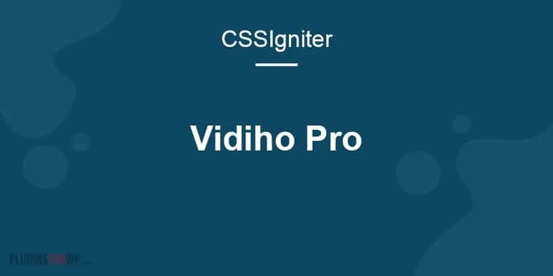 CSS Igniter Vidiho Pro Theme
