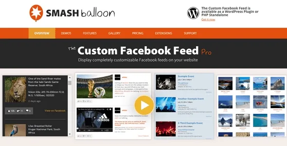 Custom Facebook Feed Pro - Extensions
