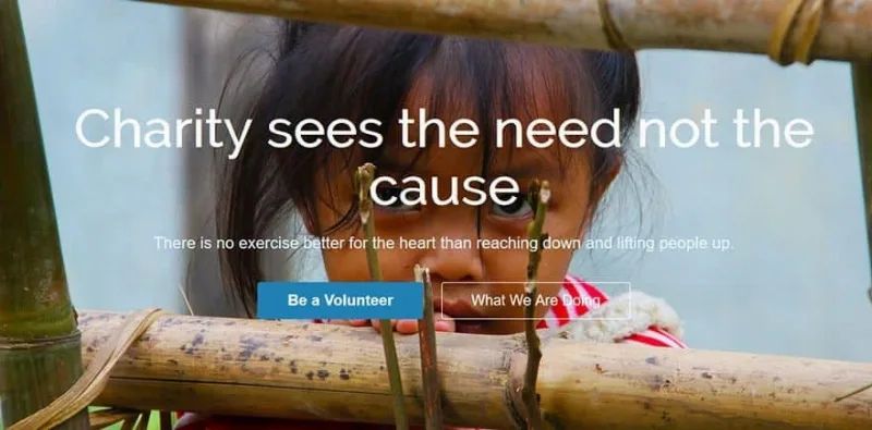CyberChimps CharityPure WordPress Theme