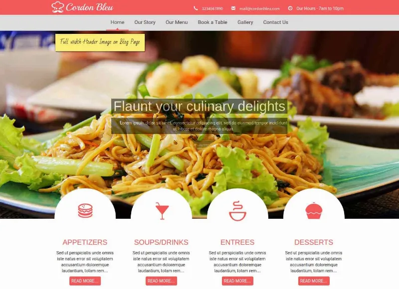 CyberChimps Cordon Bleu WordPress Theme