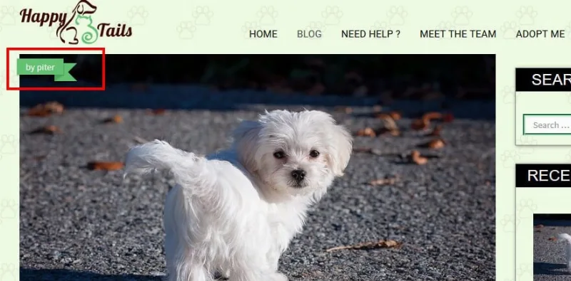 CyberChimps HappyTails WordPress Theme
