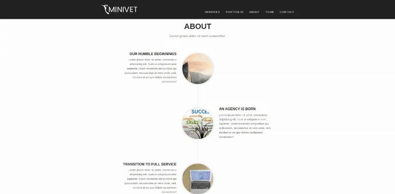 CyberChimps Minivet WordPress Theme