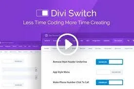 Divi Switch