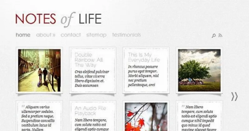 Elegant Themes DailyNotes WordPress Theme