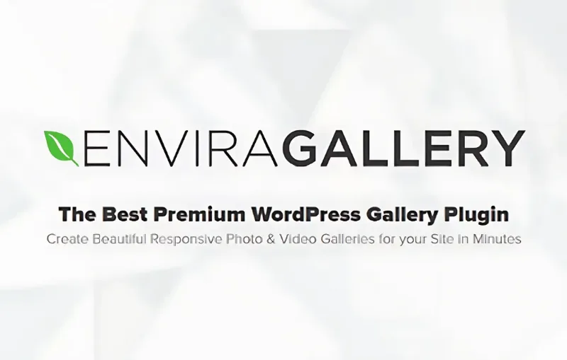 Envira Gallery - Comments Addon