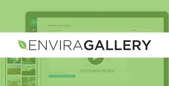Envira Gallery - Pinterest Addon
