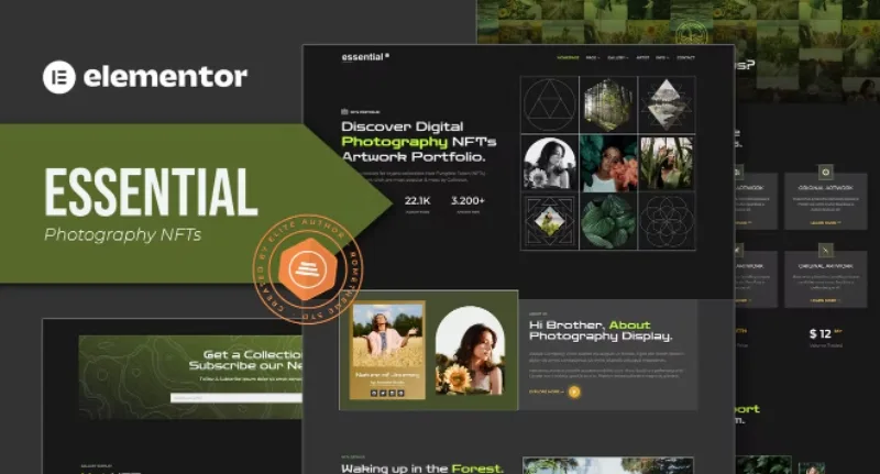 Essential – Photography NFT Portfolio Elementor Template