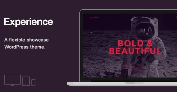 Experience – Showcase WordPress Theme