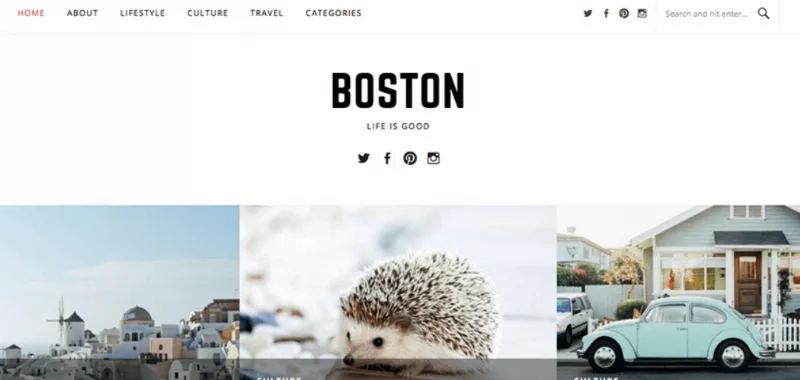 FameThemes Boston Pro WordPress Theme