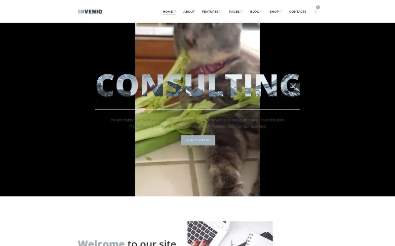 Invenio – Classy Financial Advisor WordPress Theme