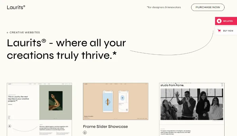 Laurits – Portfolio and Agency Theme