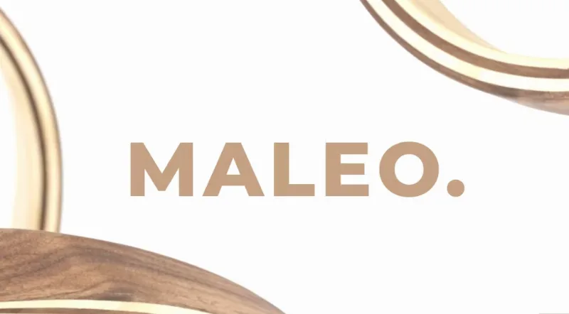 Maleo – Minimal Home Decor & Furniture Elementor Template