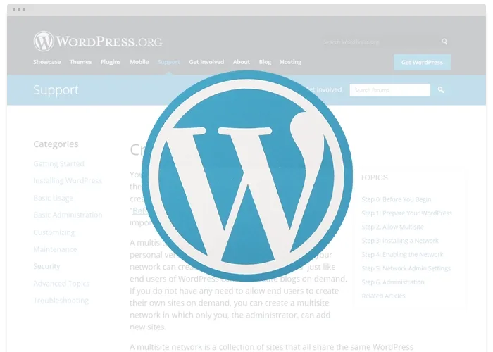[MISC V10] - WordPress Network Theme Update