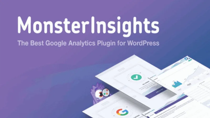 MonsterInsights Pro + Addons