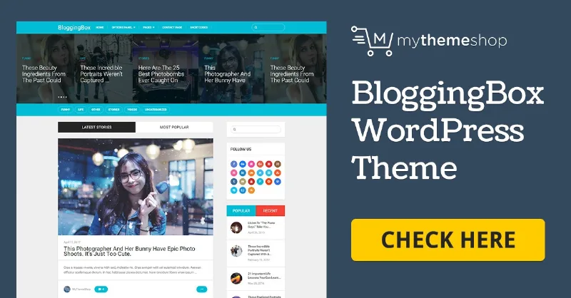 MyThemeShop BloggingBox