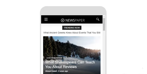 Newspaper Theme for AMP