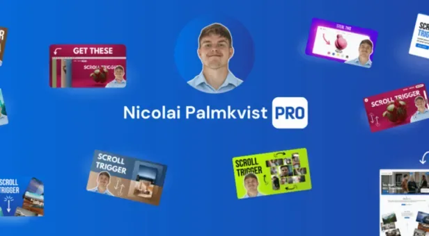 NextGen Elementor Slider - Nicolai’s Template
