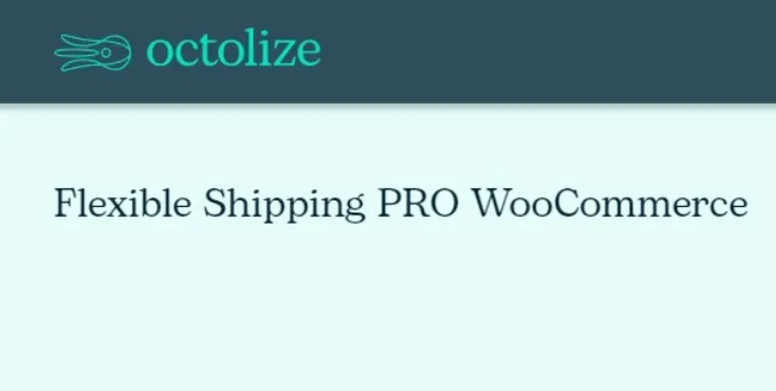 Octolize – Flexible Shipping PRO WooCommerce