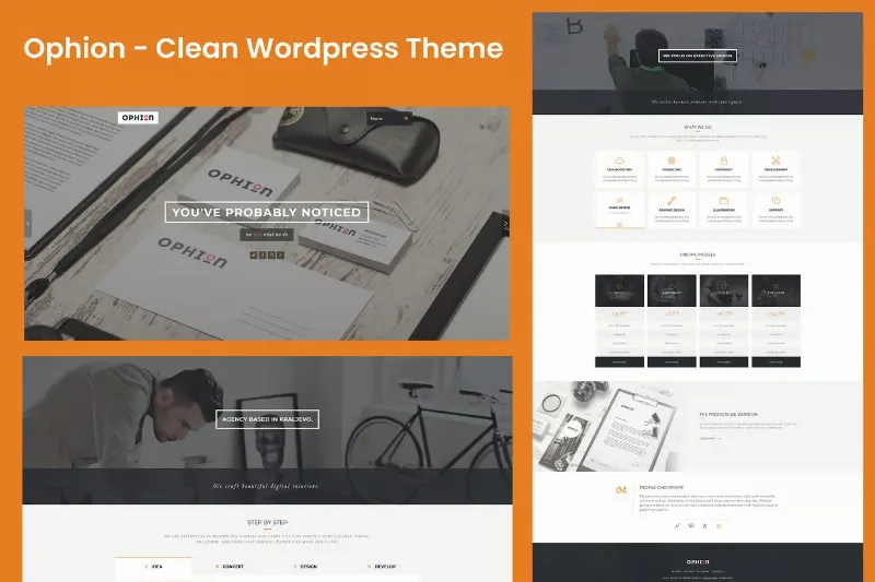 Ophion - Clean WordPress Theme