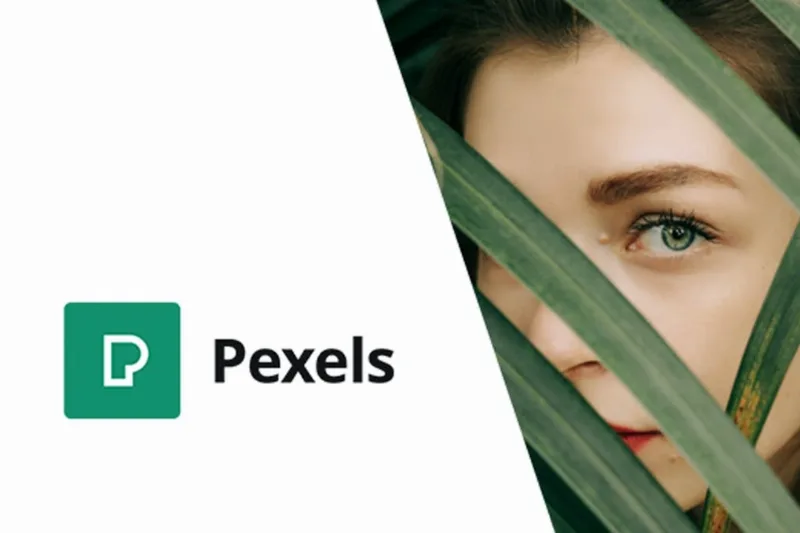 Pexels - Import High-Quality Images into WordPress