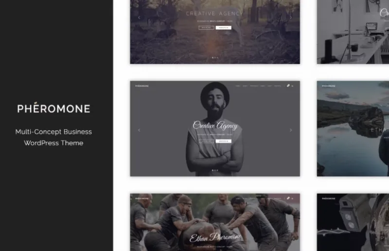 Pheromone – Creative Multi-Concept WordPress Theme