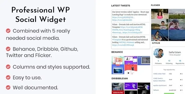 Professional - WP social widget