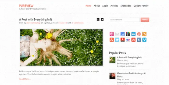 PUREVIEW – LIGHTWEIGHT, FLEXIBLE & POWERFUL WORDPRESS THEME