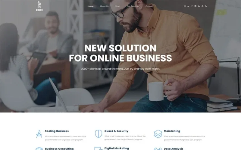 Roche – Business Consulting WordPress Theme