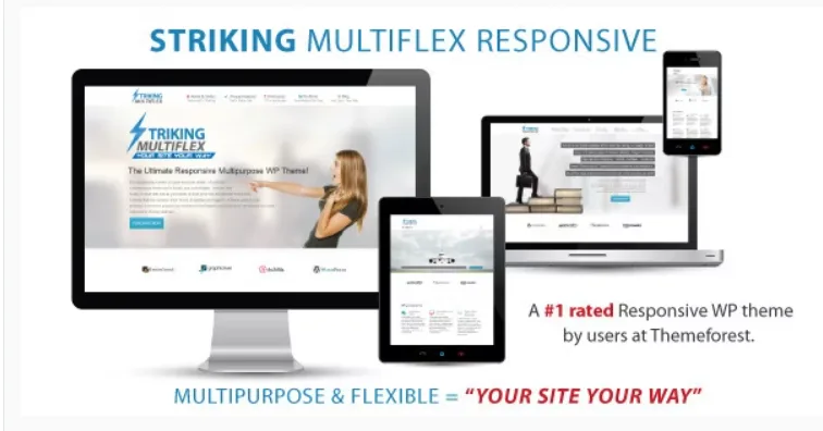 Striking – MultiFlex & Ecommerce Responsive WP Theme