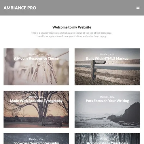 StudioPress – Ambiance Pro Theme