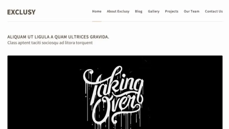Themes Kingdom Exclusy WordPress Theme