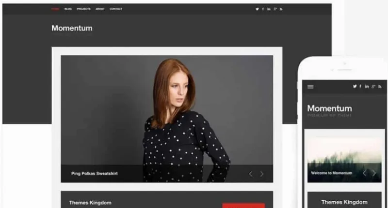 Themes Kingdom Momentum WordPress Theme