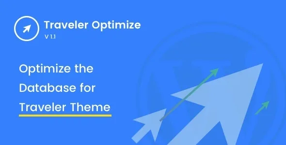 Traveler Optimize
