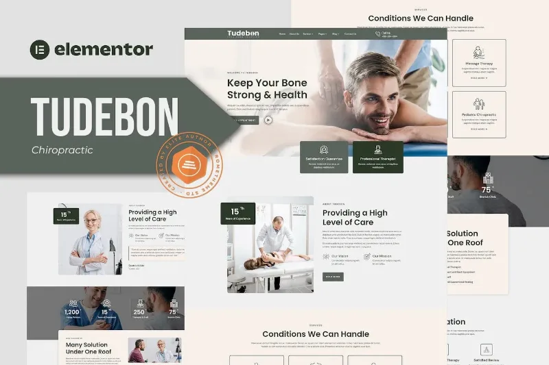 Tudebon – Chiropractic & Physiotherapy Elementor Template