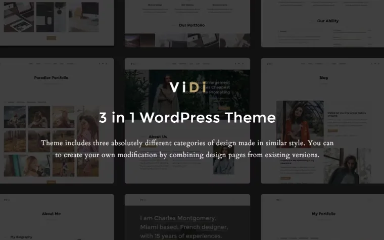 ViDi – 3 in 1 Creative WordPress Theme