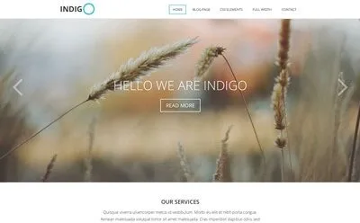 Viva Themes Indigo WordPress Theme