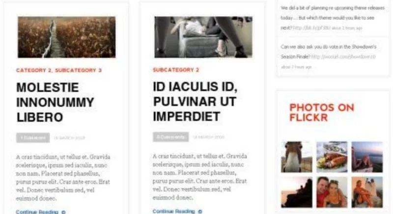 WooThemes Daily Edition Premium Theme
