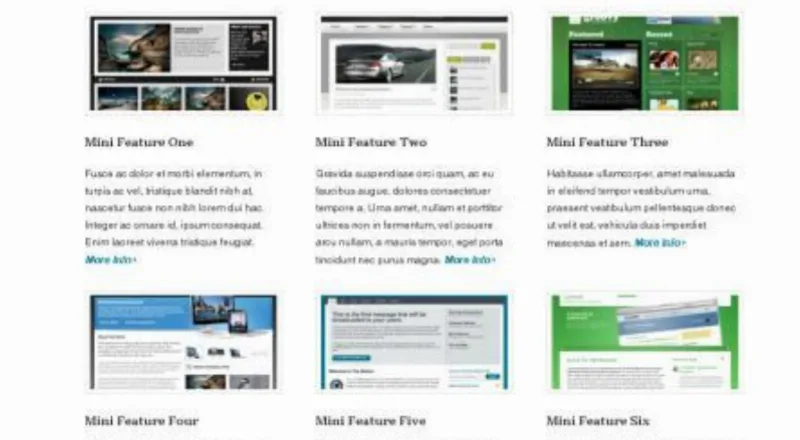 WooThemes Feature Pitch Premium Theme
