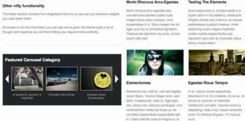 WooThemes Productum Premium Theme