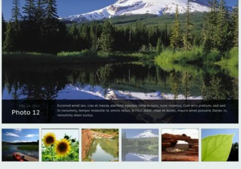 WooThemes Statua Premium Theme