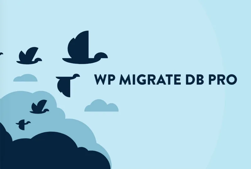 WP Migrate DB Pro Theme & Plugin Files