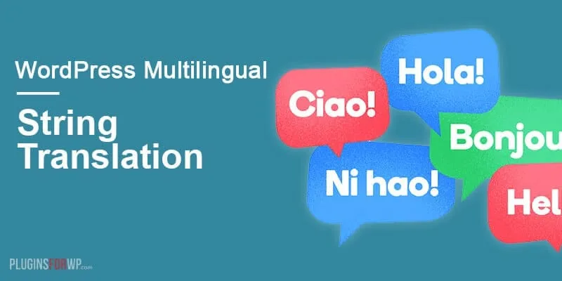 WPML String Translation Addon